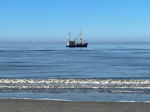 Ferienhaus "Immerlicht" mit 120qm - ruhige Lage & grosser, eingezäunter Garten.