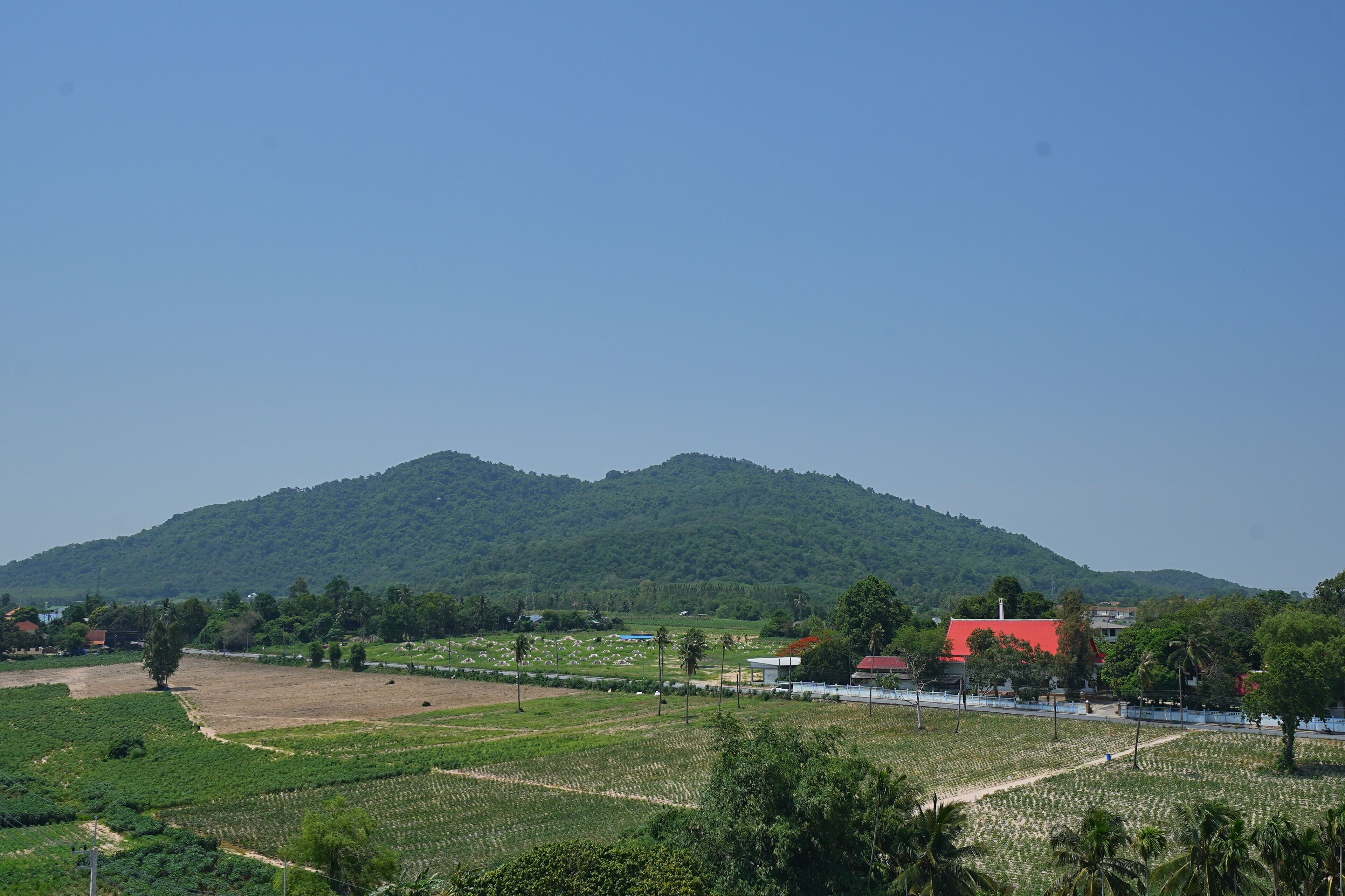 Vista desde la habitación