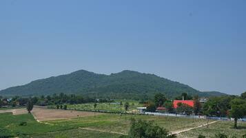 Vista des de l'habitació