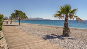 Un paseo marítimo de madera que conduce a una playa de guijarros, con una palmera y un pino.