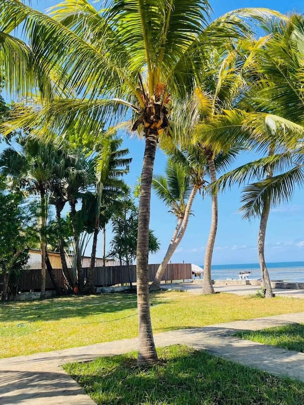 Exterior - L'Ylang Ylang Auberge Ambatoloaka (Nosy Be)