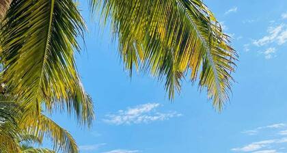 L'Ylang Ylang Auberge Ambatoloaka