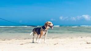 Aan het strand