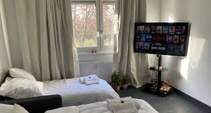 Strasbourg «La Source de Valaura » De Leau à lOr