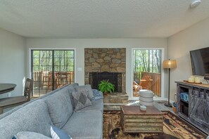 Télévision, cheminée, lecteur de DVD