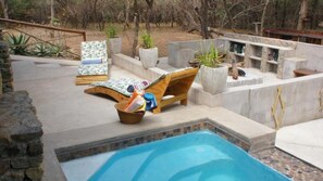 A poolside area with lounge chairs, a small pool, and potted plants.