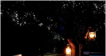 Dream of Africa Bush Lodge