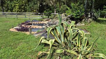 Parco della struttura