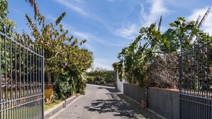 Uma passagem pavimentada, ladeada por cercas de metal e vegetação exuberante, conduzindo a uma entrada de edifício.