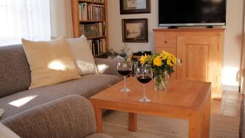 TV, DVD player, books, music library