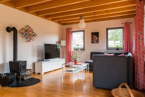 Télévision, cheminée, lecteur de DVD, chaîne hi-fi