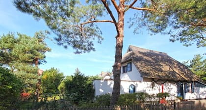 Gleich hinterm Deich