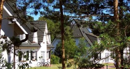 In einem Küstenwald direkt an der Ostsee