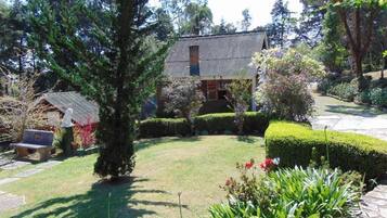 Jardim