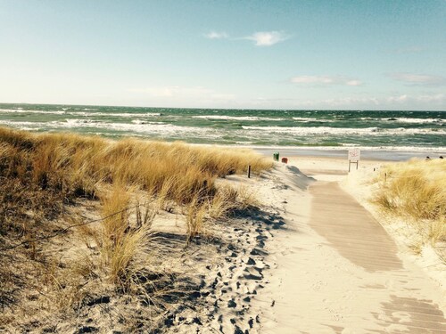 Vom Kiefernwald zum Strand