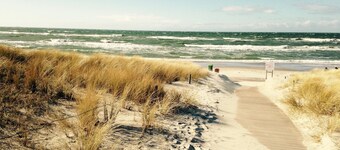 Vom Kiefernwald zum Strand