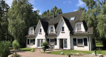 Vom Kiefernwald zum Strand