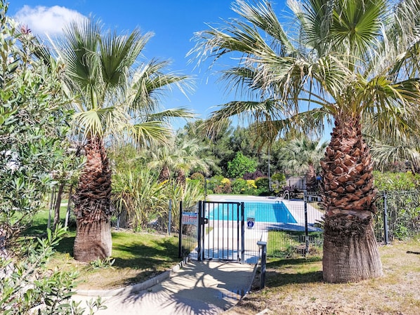 Zona de piscina con palmeras, piscina cercada y un edificio al fondo.