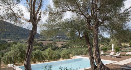 Treurer Olive Grove & Grand House - Adults Only