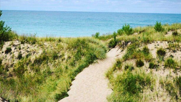 A sandy path leading to a beach with grassy dunes.