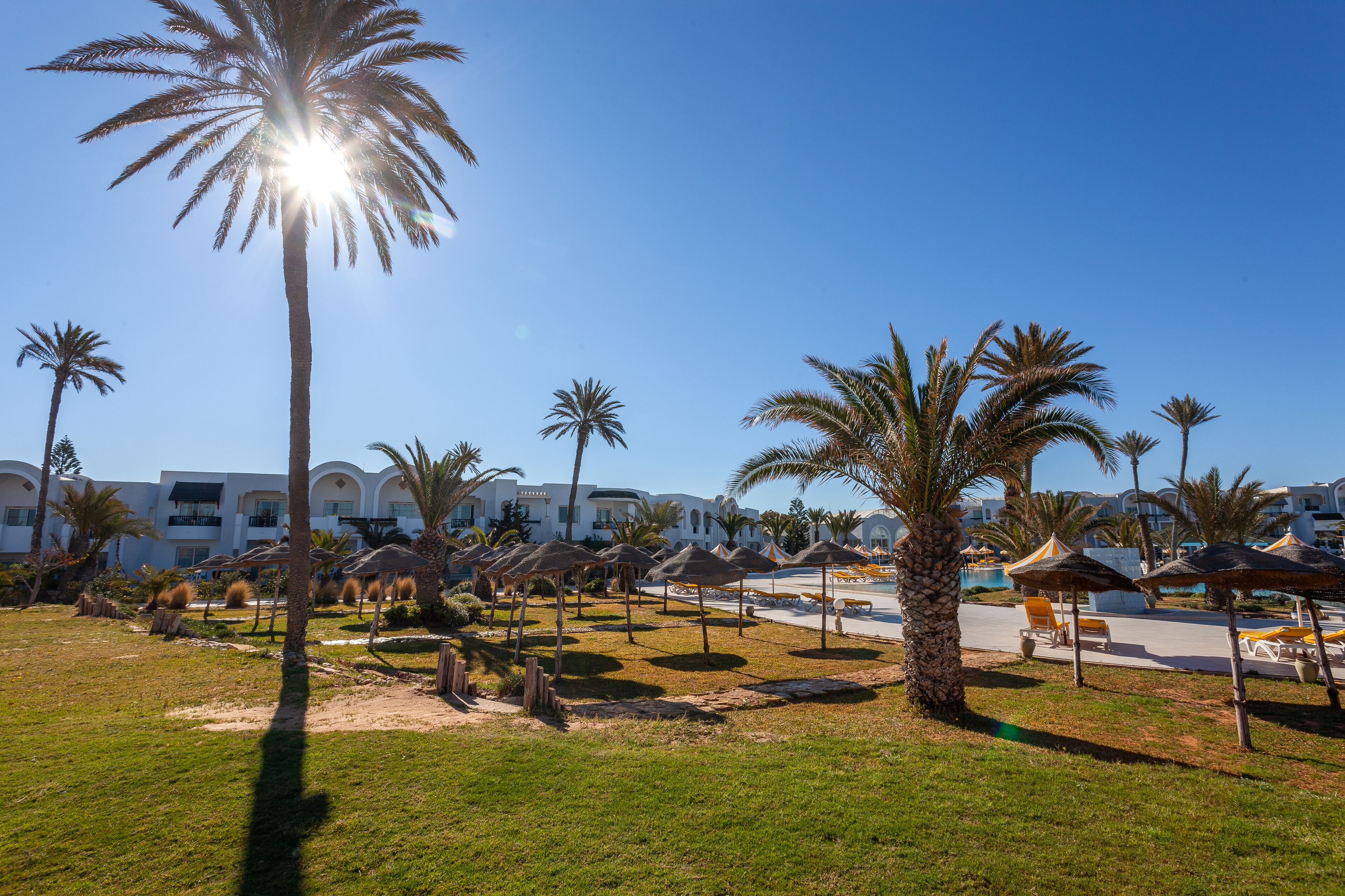 Un resort con palmeras, sombrillas de sol y una zona de piscina.