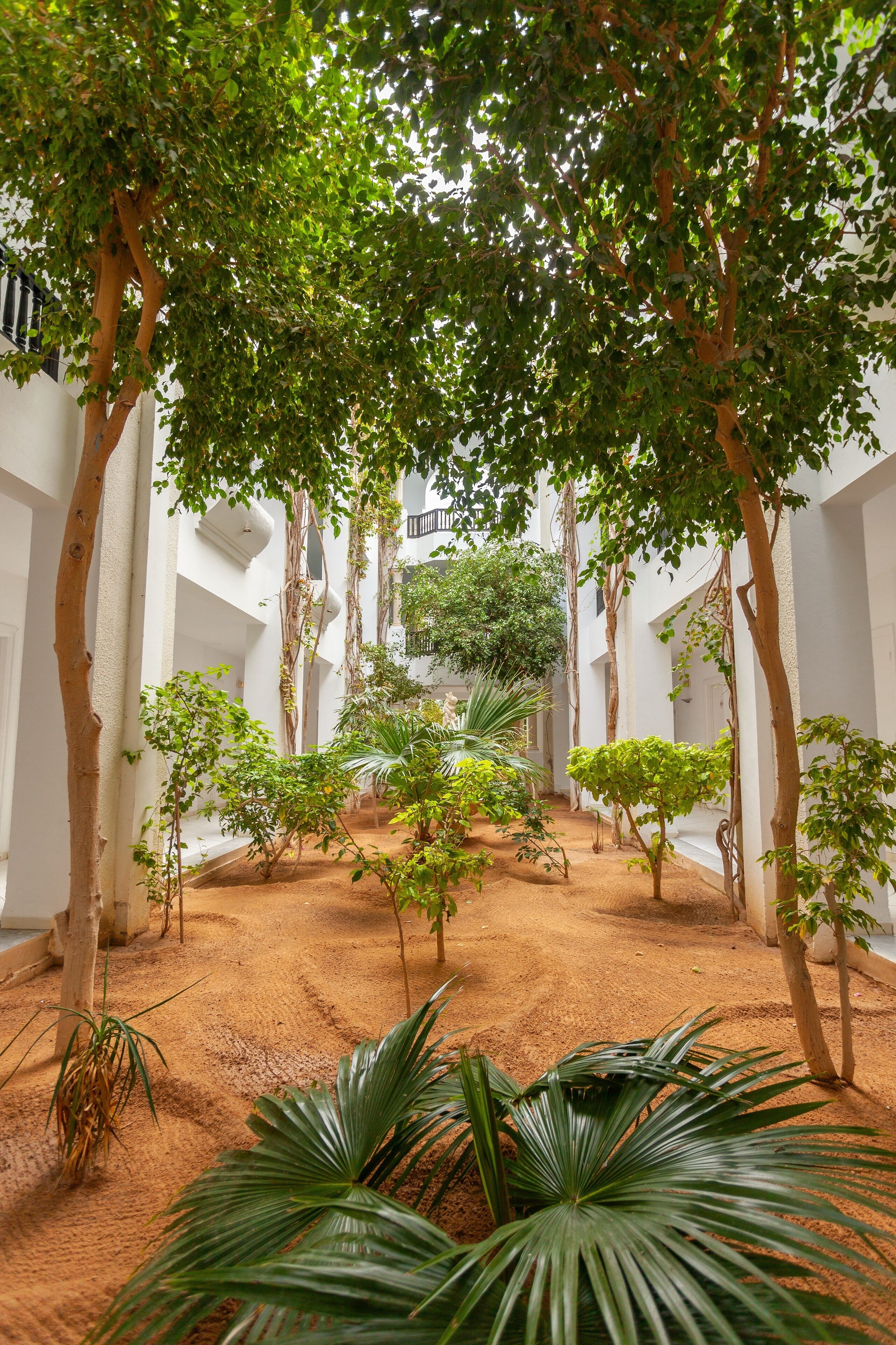 Foto - Djerba Holiday Beach