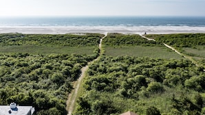 An aerial view of a coastal area with dense greenery, a sandy beach, and a clear sky.