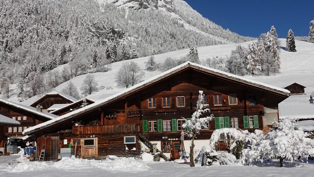 Eine Holzhütte mit geneigtem Dach, umgeben von schneebedeckten Bäumen und einem Berg im Hintergrund.
