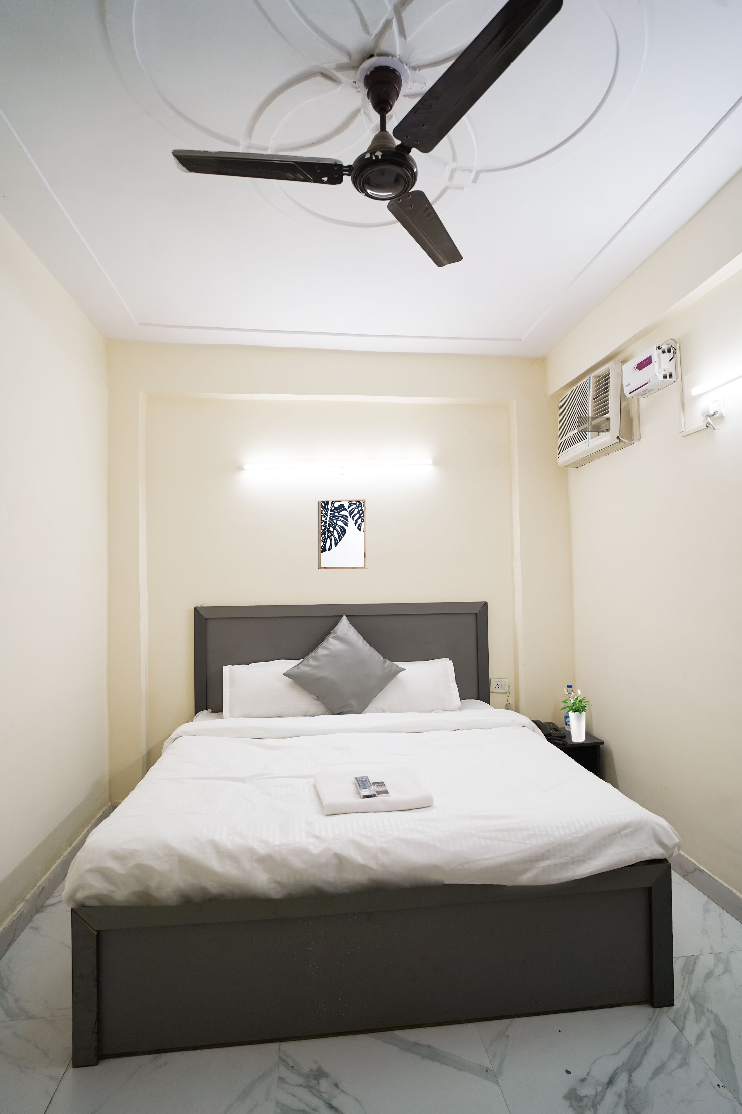 Roomshala 034 Grihum Noida Sector 63