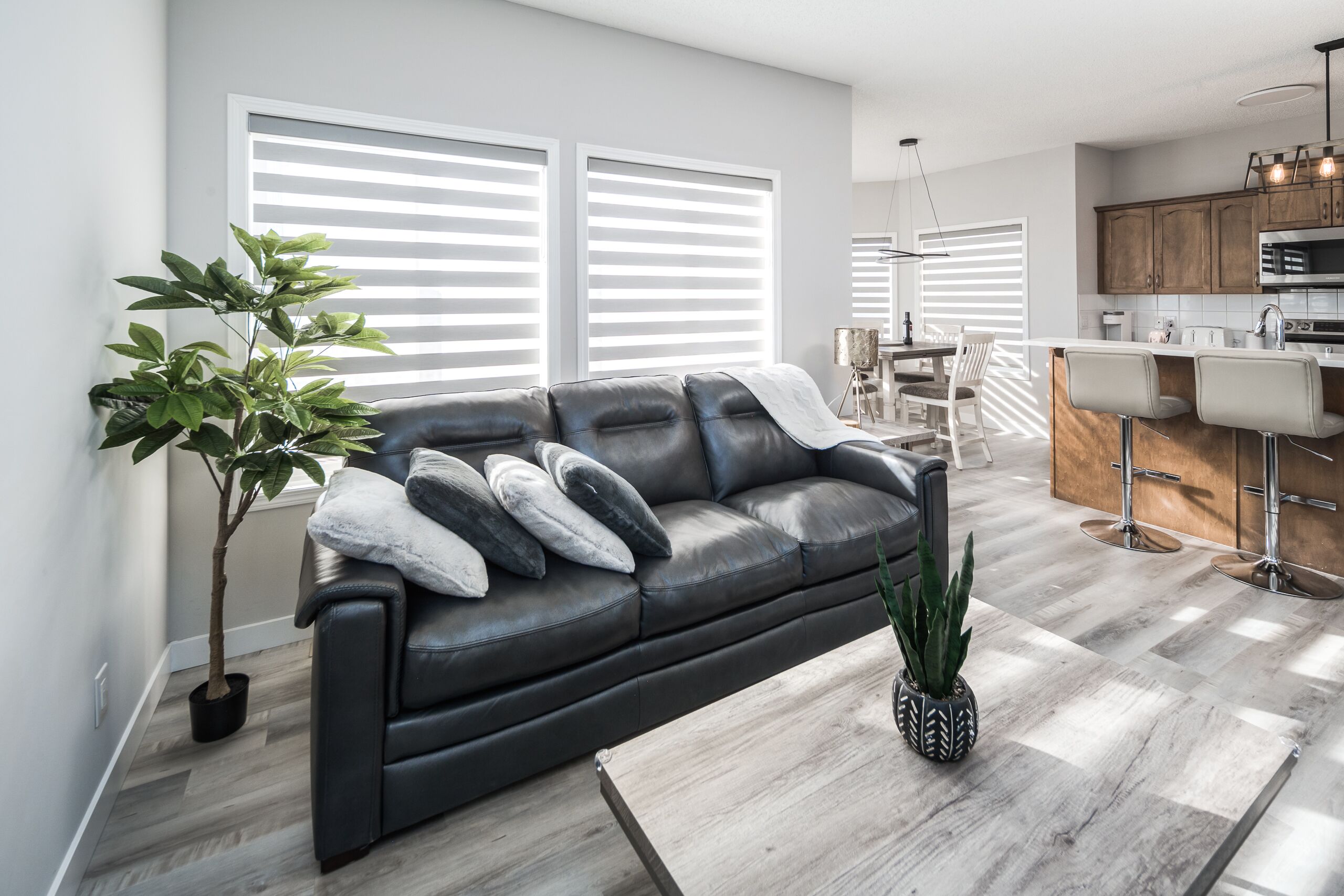 Newly renovated entire house, sleep 8