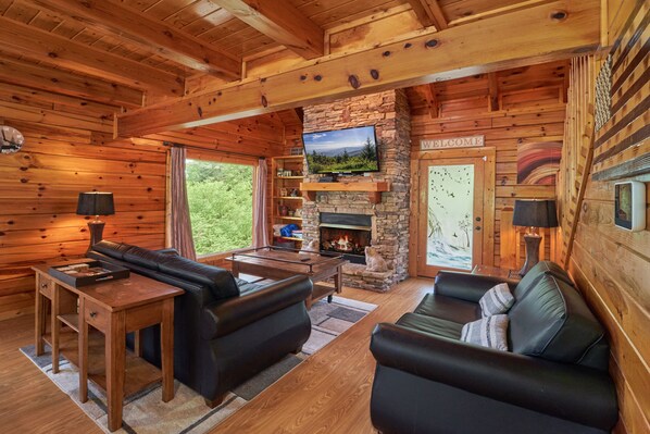 TV, fireplace, video games