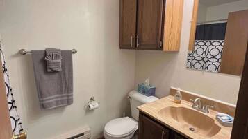 Bathtub, hair dryer, towels