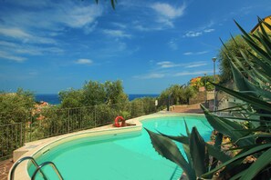 A swimming pool with a view of the sea, surrounded by greenery and a fence.