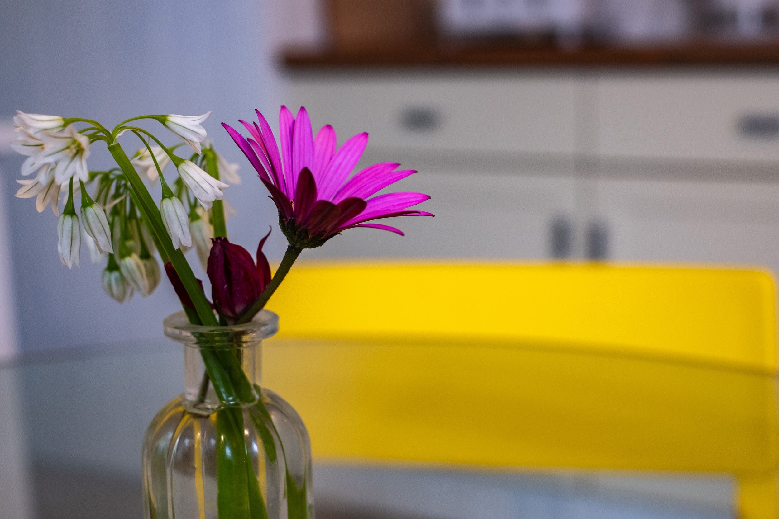 Um vaso de vidro transparente com flores sobre uma mesa.
