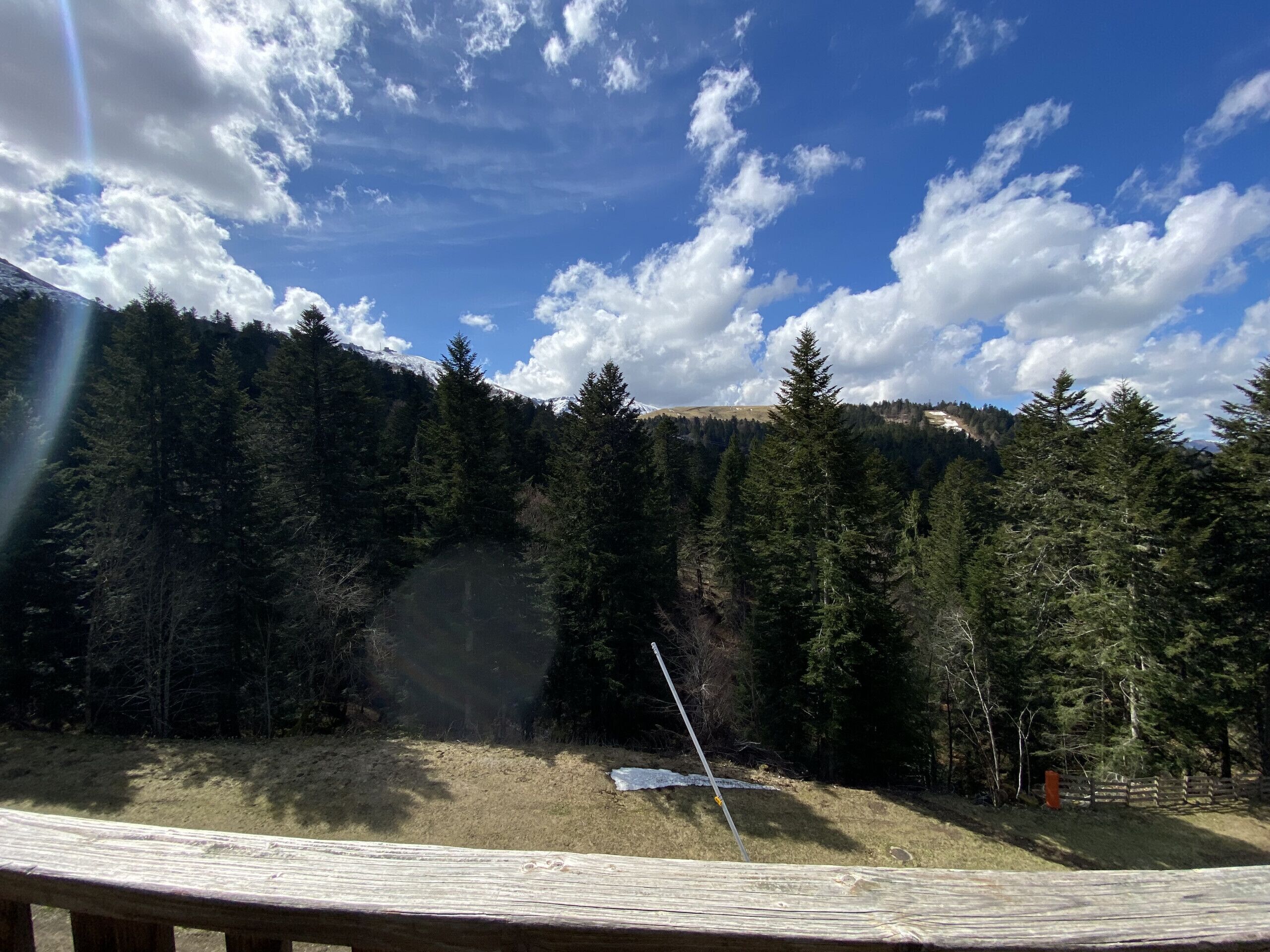 A wooden deck overlooking a forested area with a clear sky.