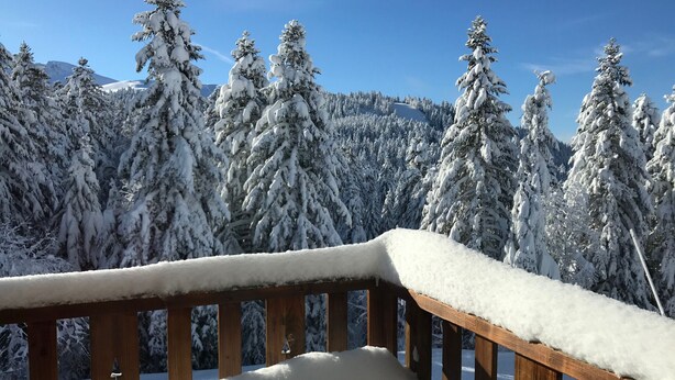 A wooden balcony with snow accumulation, overlooking a forest of snow-covered trees and a mountain in the background. - Duplex N°5 Résidence Puy du Rocher (Le Lioran)