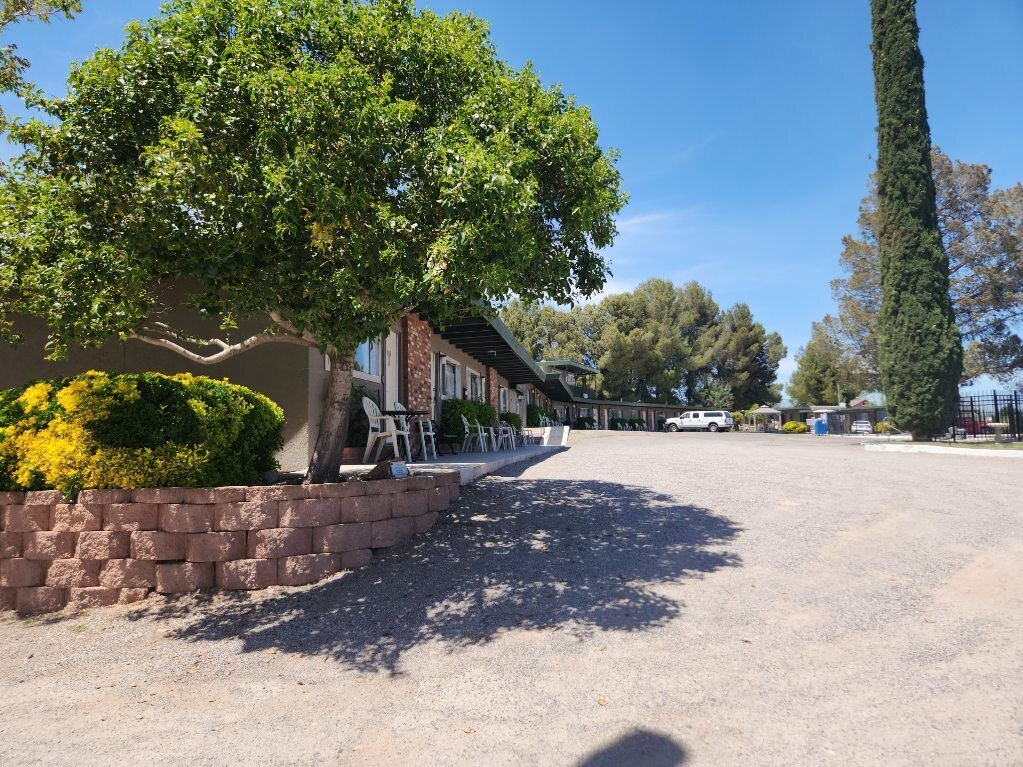 A gravel driveway leading to a building with a brick facade and a large tree providing shade.