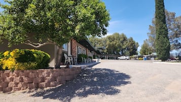 A gravel driveway leading to a building with a brick facade and a large tree providing shade.