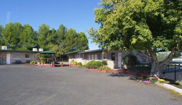 A motel with a parking lot, a covered outdoor seating area, and a large tree in the foreground.