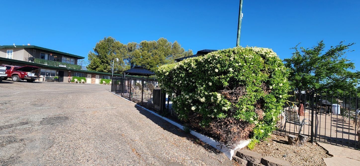 Un parking avec un bâtiment portant l’inscription « BUREAU » et un jardin clos délimité par une haie.