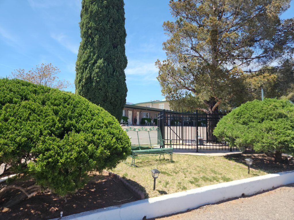 A well-maintained garden with trimmed hedges, a tall tree, and a green bench.