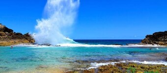 Palmas Seaview ocean view 1-bedroom vacation villa