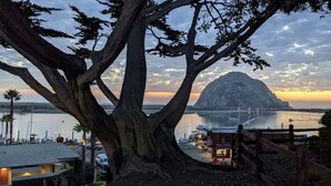 Un gran árbol en primer plano, con vista a una isla rocosa y un puerto deportivo al fondo.