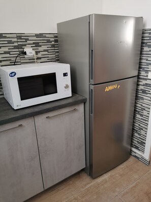Compact kitchen area with a refrigerator and microwave oven.