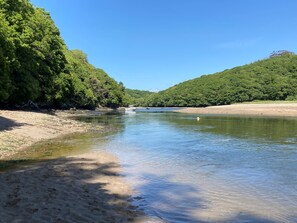 Une rivière aux eaux claires, bordée d’une forêt verdoyante et de rives sablonneuses.