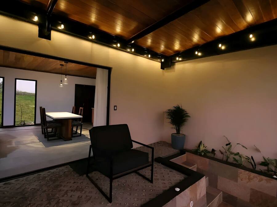 Ein modernes Interieur mit Holzbalkendecke, einem Essbereich mit Tisch und Stühlen sowie einer Sitzecke mit Sessel und Topfpflanzen.