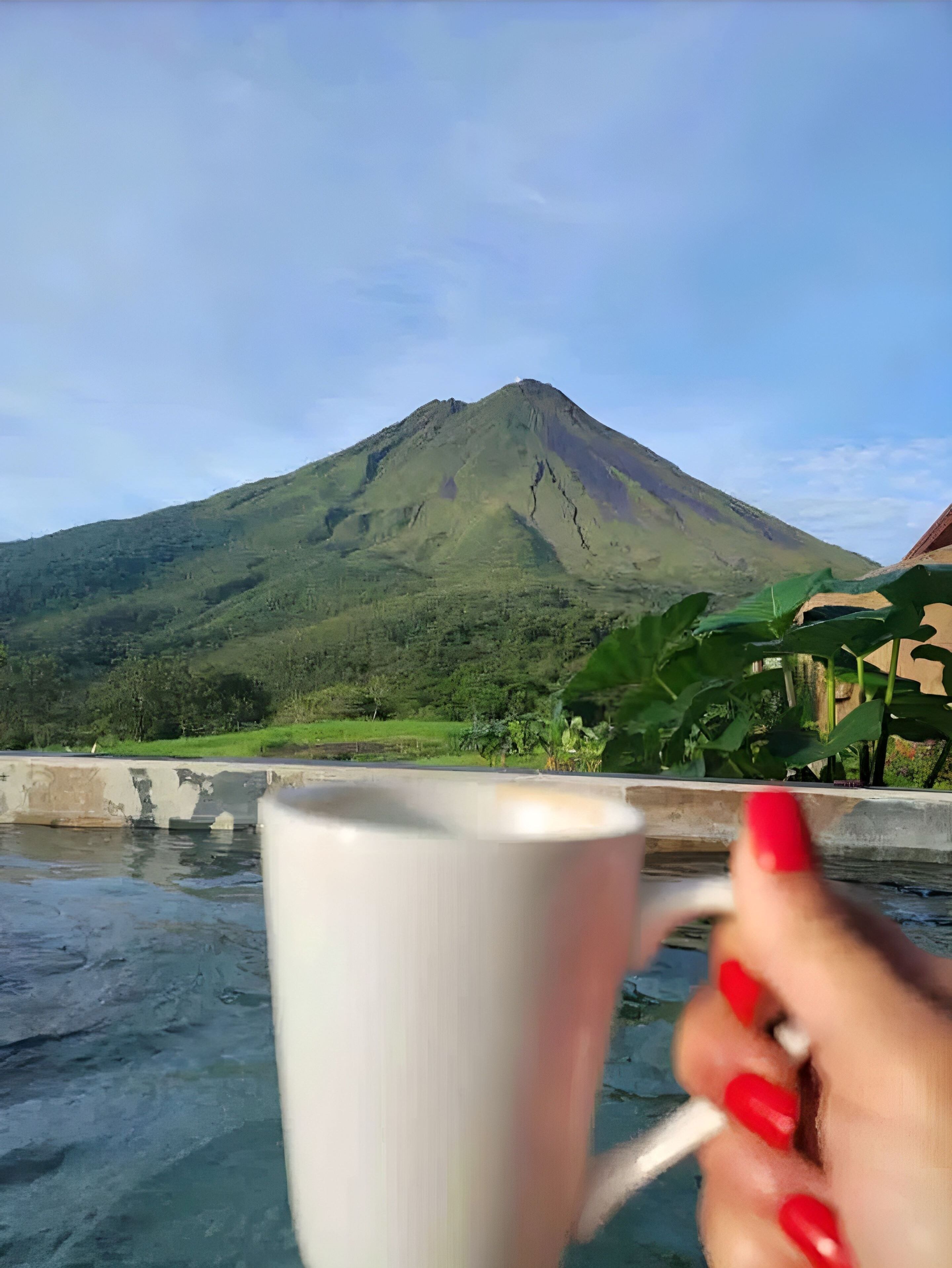 A hand holding a white mug with a view of a mountain in the background.