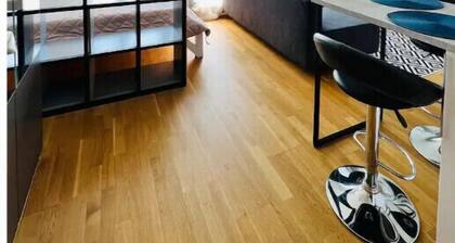 White Pearl Studio with free parking in Holešovice