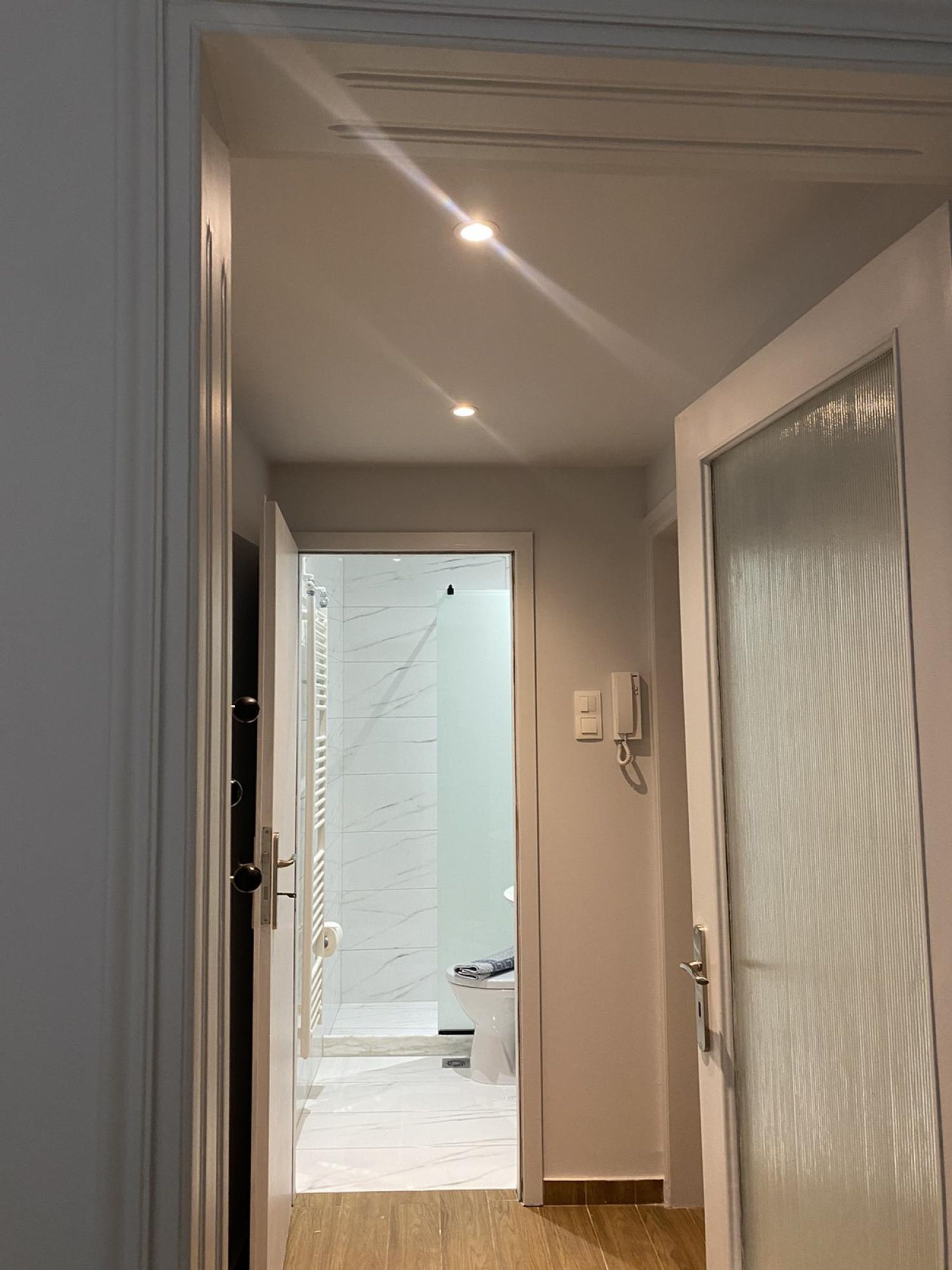 A hallway leading to a bathroom with a toilet, a shower, and a glass door.