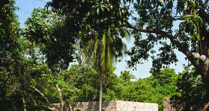 Maison Couturier, San Rafael, a Member of Design Hotels